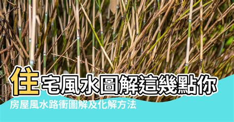 何謂路沖|風水科學：「路沖」是什麼？「十個路沖九個凶」有科。